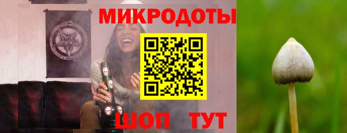 Мичуринск  Псилоцибиновые грибы MAGIC MUSHROOMS  Псилоцибиновые грибы GOLDEN TEACHER  Вход с VPN 